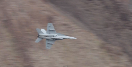 Buzzed by Hornets at Death Valley