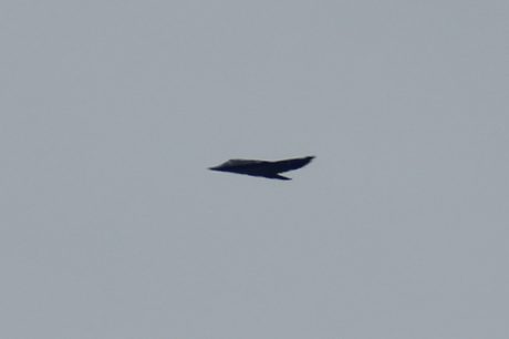 F117.Over.TTR.mid-April.2014 close