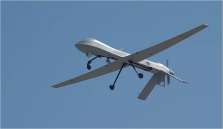 Predator Djibouti