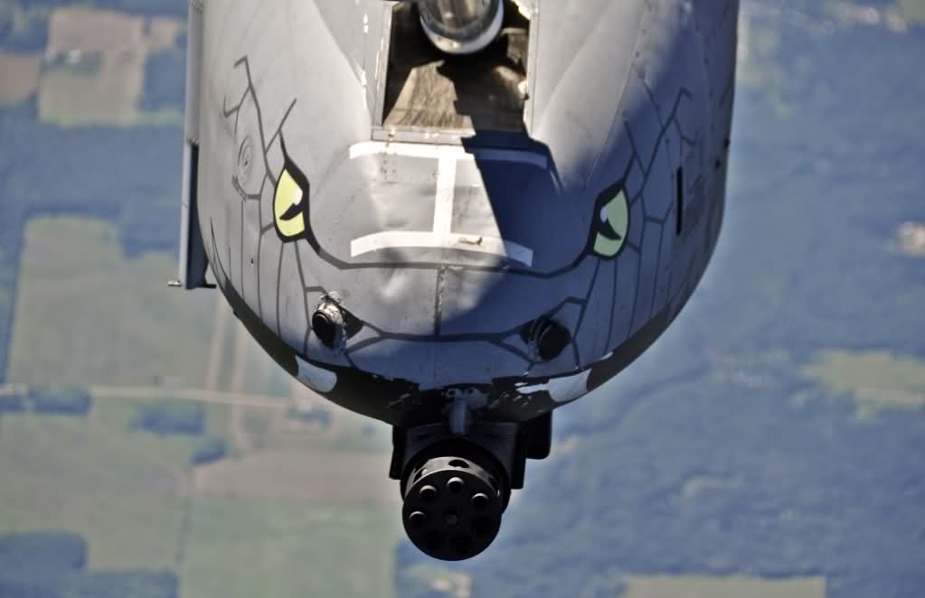 a10 warthog nose art