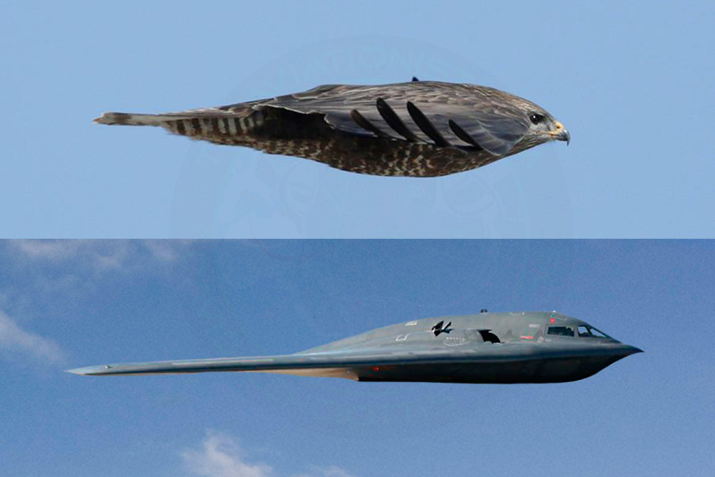 An Unbelievable Image Seems To Suggest The Shape Of The B-2 