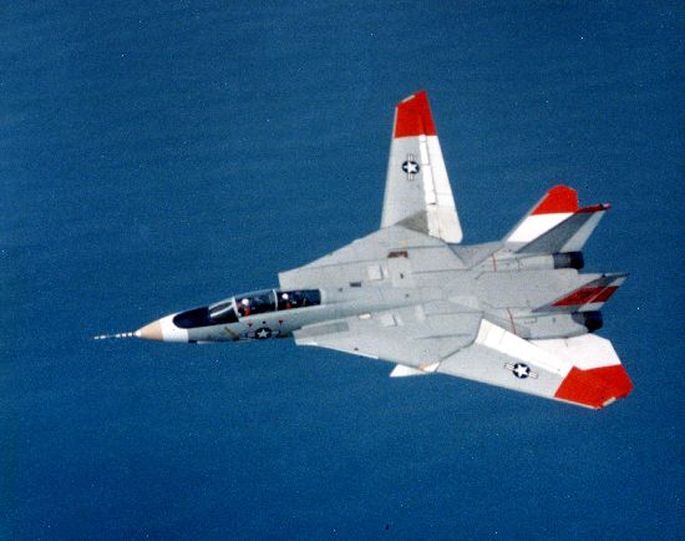 F-14-asymmetric.jpg