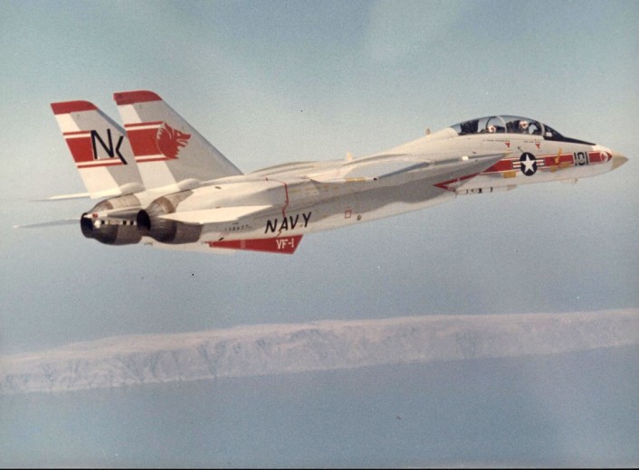VF-1 F-14A