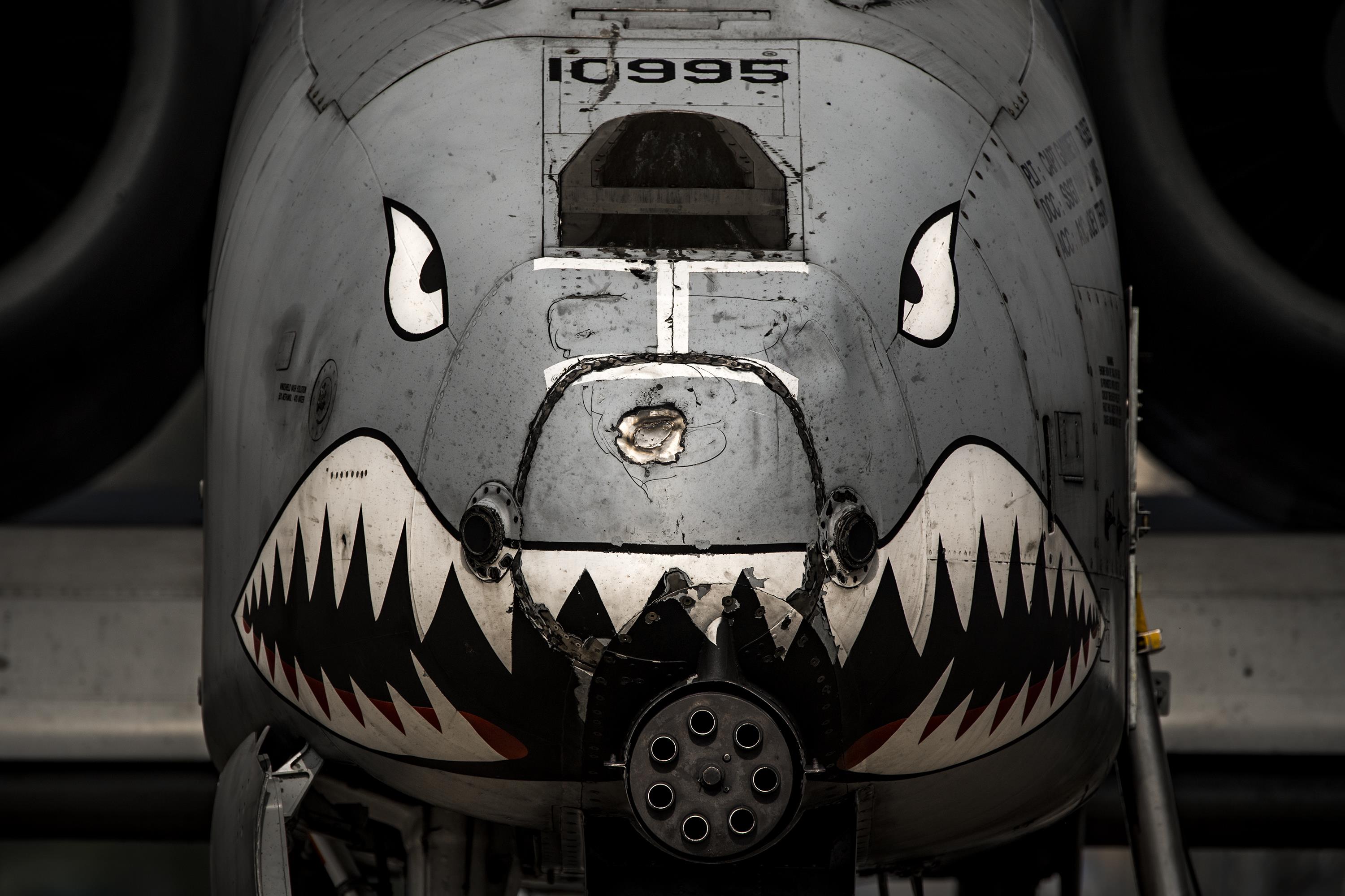 A-10-nose-damaged.jpg