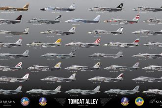 F-14 Tomcat Paint Schemes