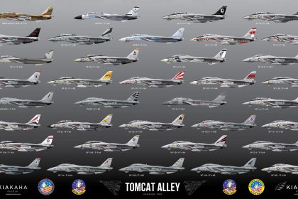 F-14 Tomcat Paint Schemes