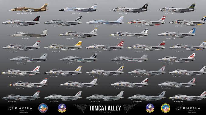 F-14 Tomcat Paint Schemes