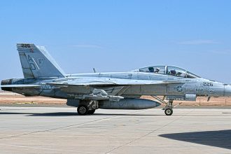 VFA-106 F/A-18F Super Hornet Bird Strike