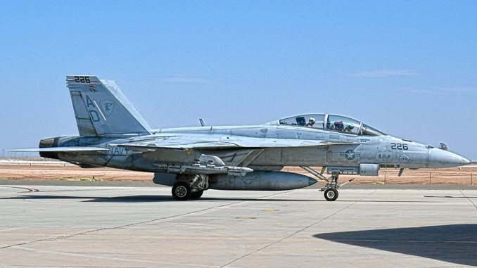 VFA-106 F/A-18F Super Hornet Bird Strike