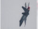 CF-18 birdstrike