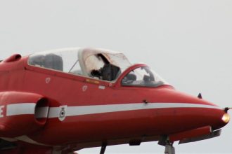 Red Arrows birdstrike