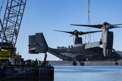 Stranded Osprey