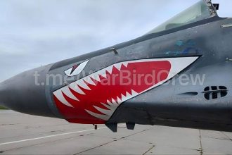 MiG-29 shark mouth