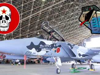 JASDF F-15 Aggressor