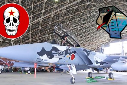 JASDF F-15 Aggressor