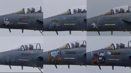 492nd FS F-15E Strike Eagles Return From Middle East With New Nose Arts And Bomb Markings