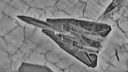 Iranian F-14 destroyed