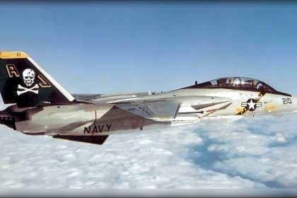 The Last Cat F-14 Tomcat