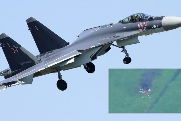 Su-35S shot down