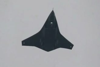 China tailless