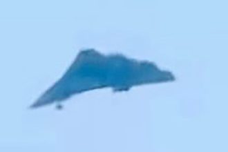 China tailless