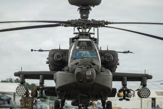 Operation Flyswatter