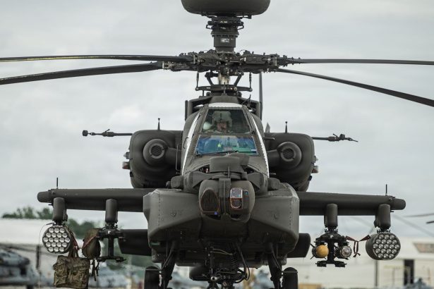 Operation Flyswatter