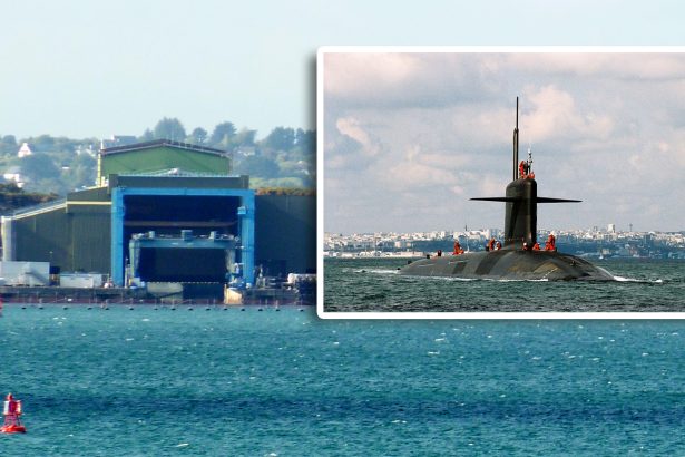 French Submarine Base Drones