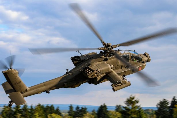 Poland 96 AH-64E Apache