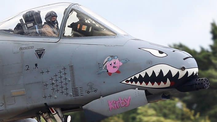 A 10 markings 7 Kirby close up 1