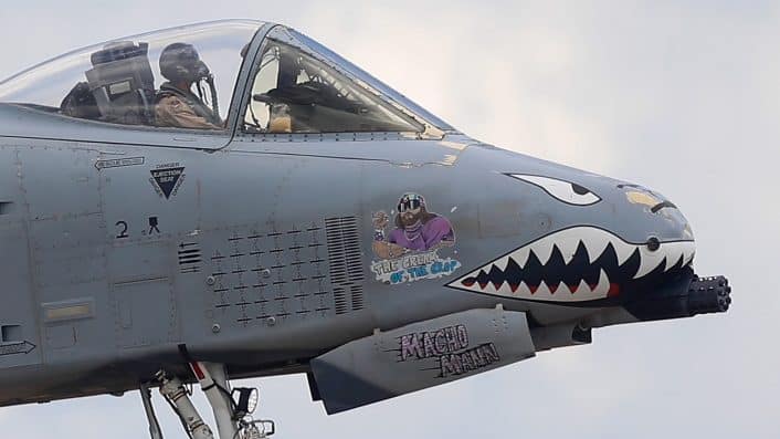 A 10 markings 9 Macho Man close up
