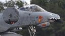 A-10 Iranian kill markings