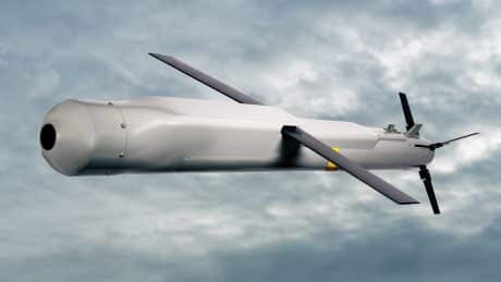 Raytheon UK Red Kite