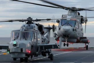 Leonardo Merlin Wildcat Future