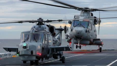 Leonardo Merlin Wildcat Future