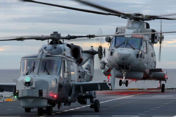 Leonardo Merlin Wildcat Future